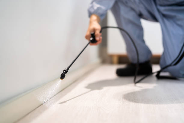 Licensed Pest Control service in Albemarle, NC - Show Me Pest Control