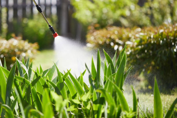 24/7 Emergency Ant Control experts in Albemarle, NC
