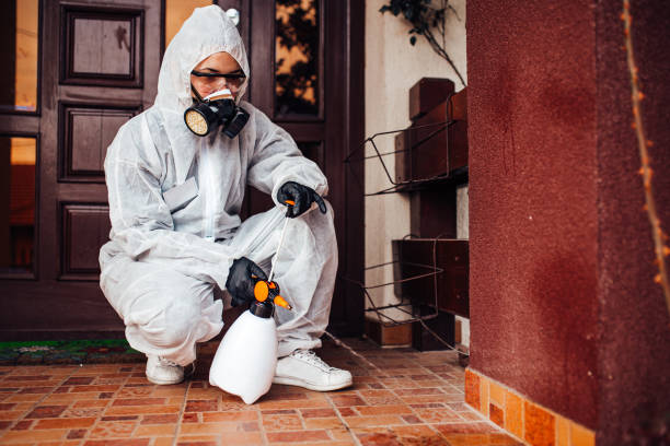 Reliable Ant Control contractor in Albemarle, NC by Show Me Pest Control