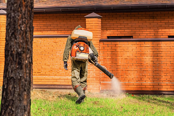 Top rated local Ant Control specialists in Albemarle, NC